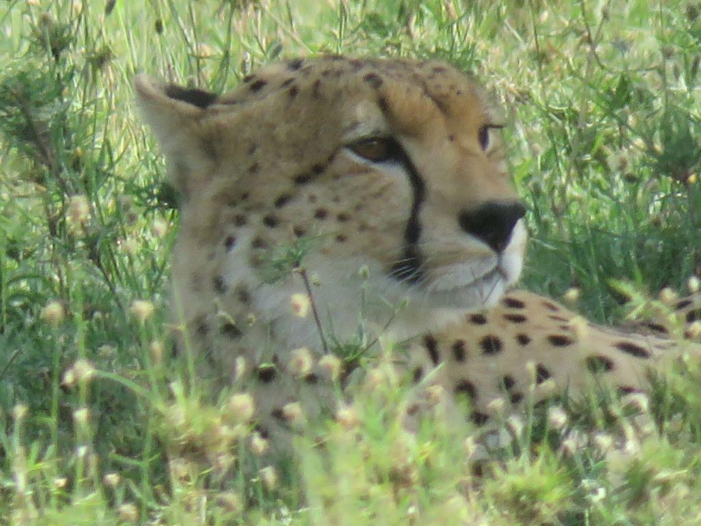 Image20250611023635